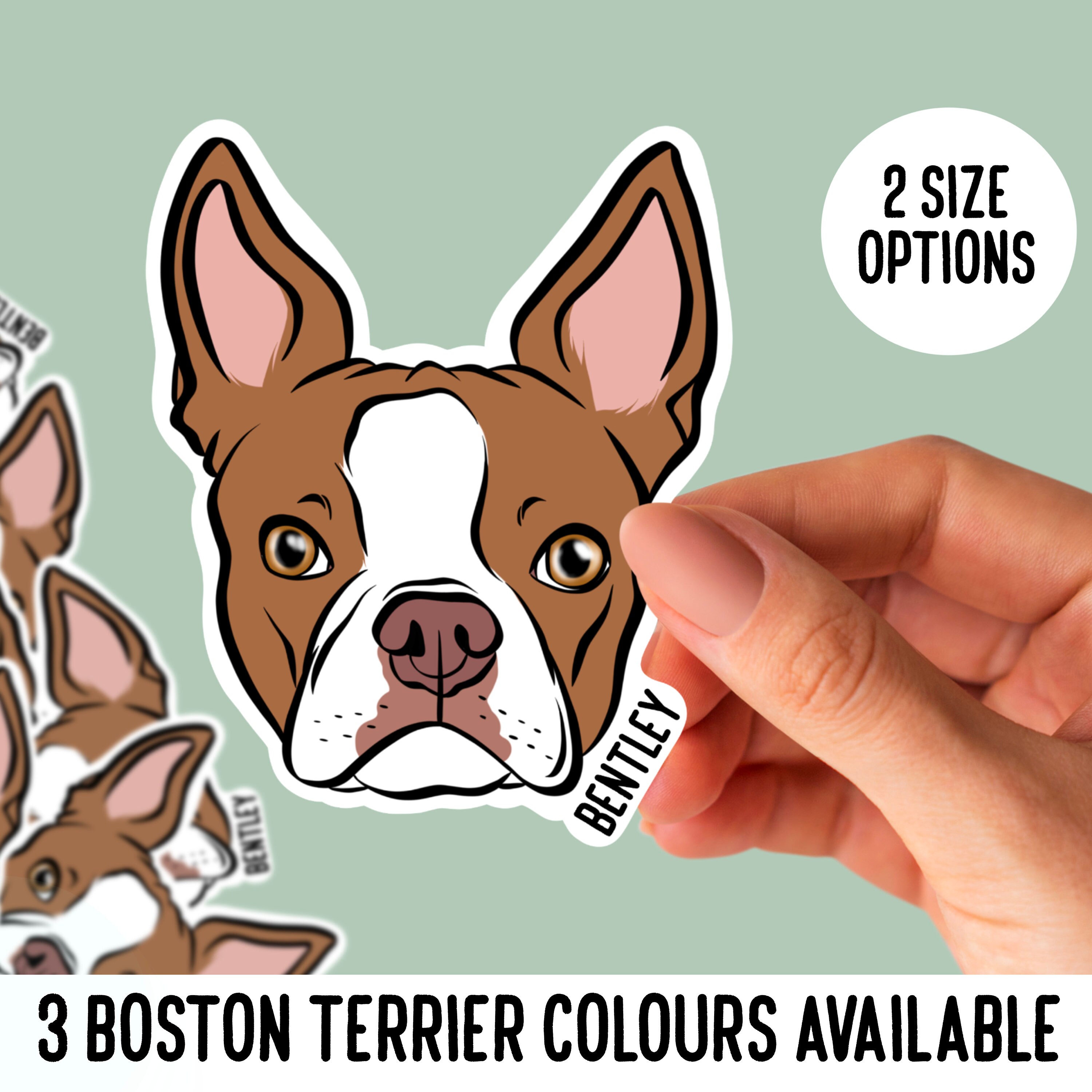 3D Printable Boston Terrier Dog - Articulated - Print In Place - Flexi - No Supports By EndK7