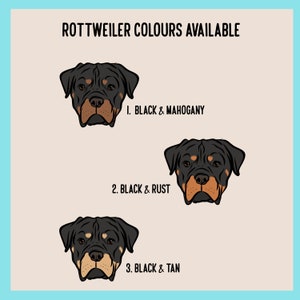 Może przedstawiać: Wykres zatytułowany ROTTWEILER COLOURS AVAILABLE przedstawiający trzy ilustracje gł&oacute;w ps&oacute;w rasy Rottweiler. Opcje to 1. BLACK & MAHOGANY, 2. BLACK & RUST oraz 3. BLACK & TAN, z kt&oacute;rych każda ma wyraźne oznaczenia pyska i warianty kolorystyczne.