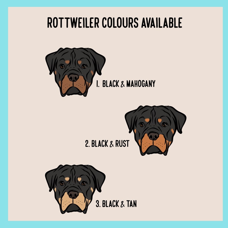 Może przedstawiać: Wykres zatytułowany ROTTWEILER COLOURS AVAILABLE przedstawiający trzy ilustracje gł&oacute;w ps&oacute;w rasy Rottweiler. Opcje to 1. BLACK & MAHOGANY, 2. BLACK & RUST oraz 3. BLACK & TAN, z kt&oacute;rych każda ma wyraźne oznaczenia pyska i warianty kolorystyczne.