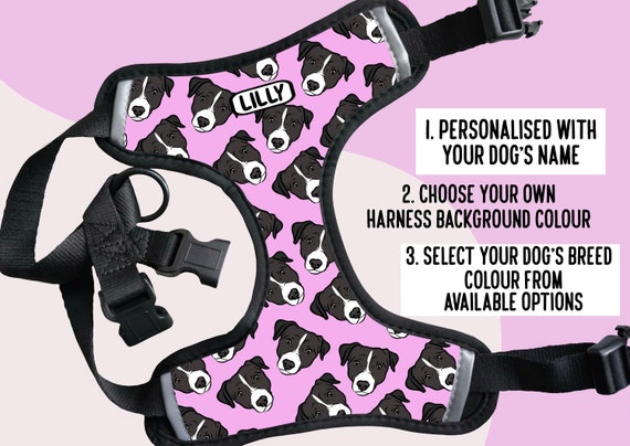 Dog harness for jack russell hotsell