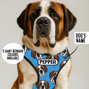 May include: A Saint Bernard dog wearing a blue dog harness featuring a repeating pattern of Saint Bernard faces and the name PEPPER printed in a white rectangular box. Text on the image reads 5 SAINT BERNARD COLOURS AVAILABLE and DOG'S NAME.
