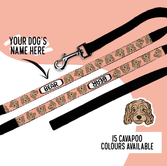 Face leash 2025
