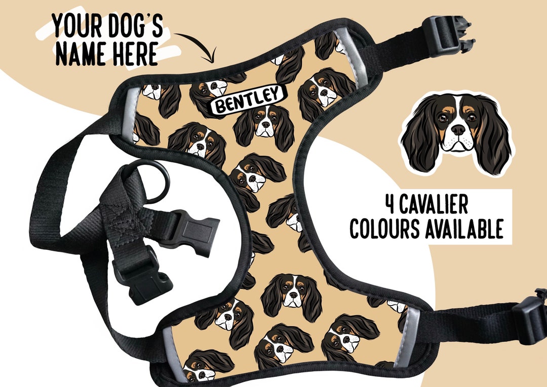 Cavalier King Charles Spaniel Harness Personalised Cavalier Name