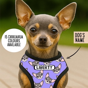 Può includere: Un cane di piccola taglia indossa una pettorina viola con un motivo ripetuto di facce di chihuahua e un'etichetta rettangolare bianca con il nome LIBERTY. Il testo sull'immagine recita 15 CHIHUAHUA COLOURS AVAILABLE e DOG'S NAME con una freccia.