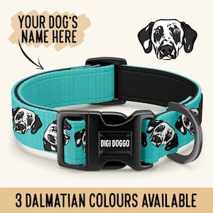 May include: A turquoise dog collar with a black buckle and a repeating pattern of Dalmatian dog faces. The buckle has the text "DIGI DOGGO" on it. The collar is shown with a white background.  "3 DALMATIAN COLOURS AVAILABLE" is written in black text on a tan background at the bottom of the image.