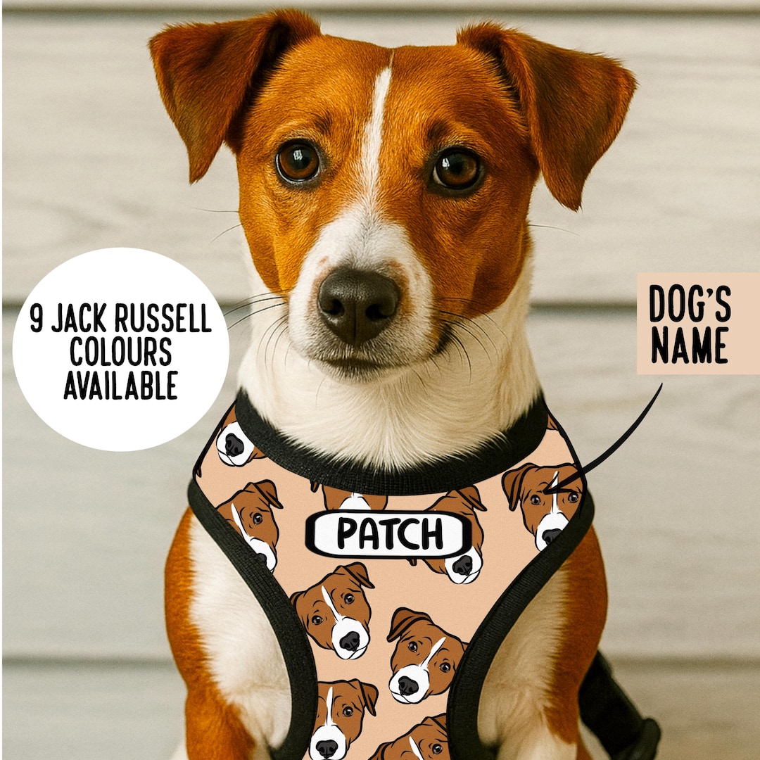 Jack Russel Terrier Harness Personalisierte Jack Russel