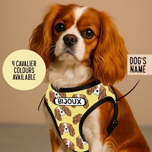 Peut inclure: Un harnais pour chien jaune avec un motif répétitif de visages de Cavalier King Charles Spaniel et une étiquette rectangulaire blanche portant le nom BIJOUX en noir. Le texte indique 4 CAVALIER COLOURS AVAILABLE et DOG'S NAME.