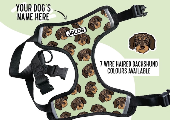 Dachshund top harness pattern
