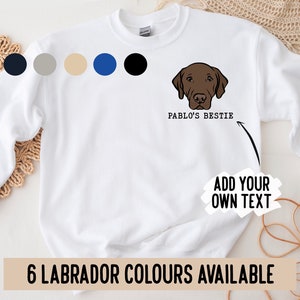 Personalisierte Labrador Pullover / Custom Chocolate Lab Besitzer Geschenk / süße Labrador Portrait Sweatshirt / Labrador Besitzer Geburtstagsgeschenk / Labrador Mum