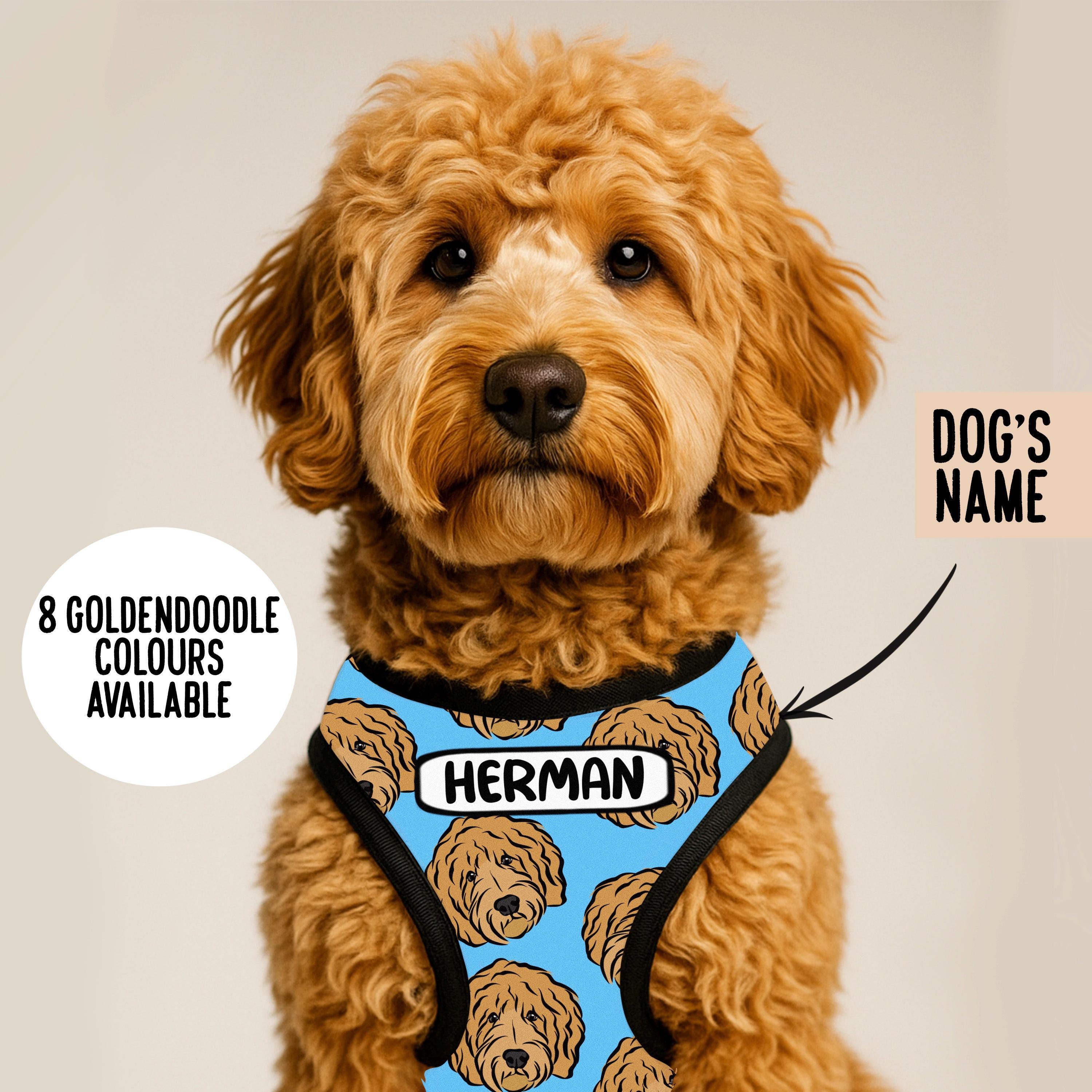 Personalized Goldendoodle Dog Harness: Custom Pet Portrait