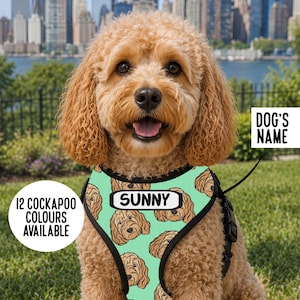 May include: A light green dog harness featuring a repeating pattern of brown Cockapoo faces and a central white rectangular label with the black text SUNNY. The harness has black trim and adjustable straps, worn by a curly-haired golden Cockapoo.