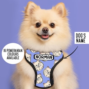 Personalized Pomeranian Harness: Reflective Dog Walking Harness
