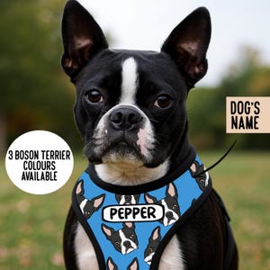 May include: A black and white Boston Terrier wearing a blue dog harness with a repeating pattern of Boston Terrier faces and a white rectangular label featuring the name PEPPER. Text on the image reads 3 BOSON TERRIER COLOURS AVAILABLE and DOG'S NAME.