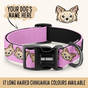 May include: Pink dog collar with a repeating pattern of long-haired chihuahua faces. The collar has a black buckle with the text "Digi Doggo" and a black D-ring. The text "Your Dog's Name Here" is written on a white cloud with a black outline.