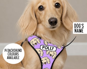 Arnés personalizado para perro salchicha de pelo largo: Ilustración personalizada de perro