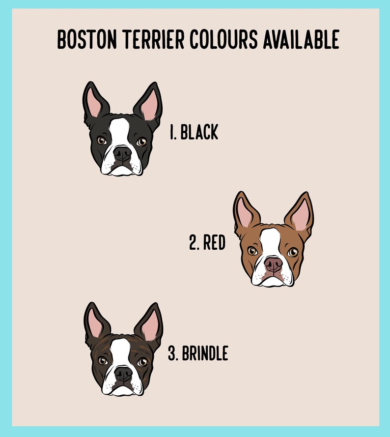 Médaille d'identification personnalisée portrait Boston Terrier : Médaille personnalisée pour collier d'animal de compagnie image 5