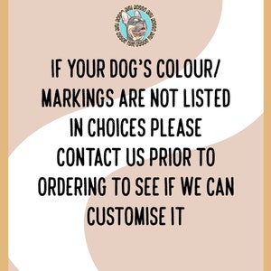 Personalized Border Collie Dog Leash: Custom Breed Illustration, Dog Owner Gift image 5