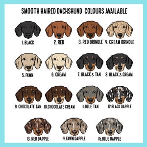 Puede incluir: Un gr&aacute;fico que muestra 15 variaciones de color de dachshund. El gr&aacute;fico incluye los siguientes colores: negro, rojo, rojo atigrado, crema atigrado, cervatillo, crema, negro y fuego, negro y crema, chocolate tostado, chocolate crema, azul tostado, negro moteado, rojo moteado, cervatillo moteado y azul moteado.