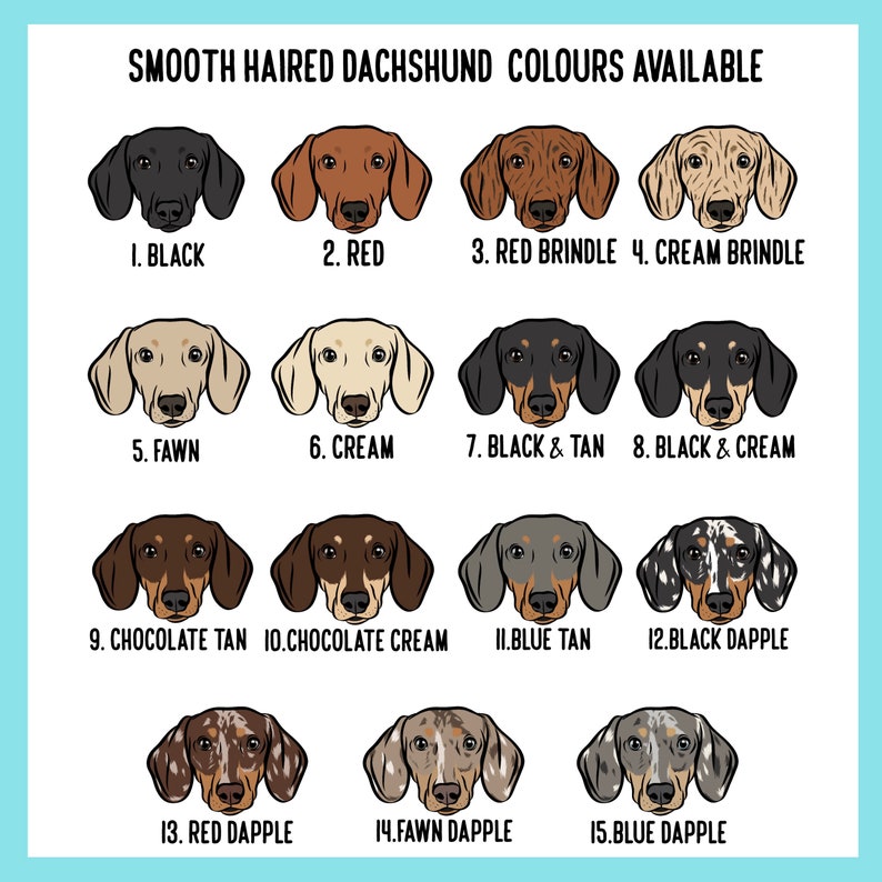 Puede incluir: Un gr&aacute;fico que muestra 15 variaciones de color de dachshund. El gr&aacute;fico incluye los siguientes colores: negro, rojo, rojo atigrado, crema atigrado, cervatillo, crema, negro y fuego, negro y crema, chocolate tostado, chocolate crema, azul tostado, negro moteado, rojo moteado, cervatillo moteado y azul moteado.