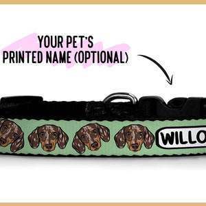 Puede incluir: Un collar de perro verde y negro con un patr&oacute;n repetido de caras de dachshund. El collar tiene una hebilla negra y una etiqueta blanca que dice "WILLOW".
