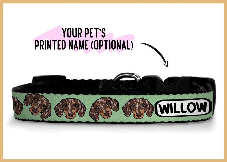 Puede incluir: Un collar de perro verde y negro con un patr&oacute;n repetido de caras de dachshund. El collar tiene una hebilla negra y una etiqueta blanca que dice "WILLOW".