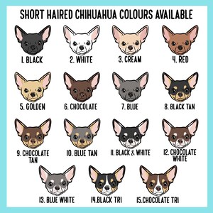 May include: A color chart titled SHORT HAIRED CHIHUAHUA COLOURS AVAILABLE displaying fifteen illustrated dog heads with various coat patterns and colors, labeled 1 through 15, including black, white, cream, red, golden, chocolate, blue, and tan variations.