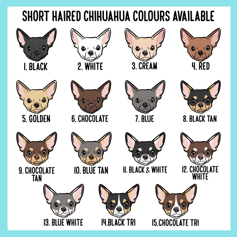 May include: A color chart titled SHORT HAIRED CHIHUAHUA COLOURS AVAILABLE displaying fifteen illustrated dog heads with various coat patterns and colors, labeled 1 through 15, including black, white, cream, red, golden, chocolate, blue, and tan variations.