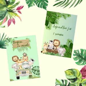 Cartes étapes bébé "jungle"
