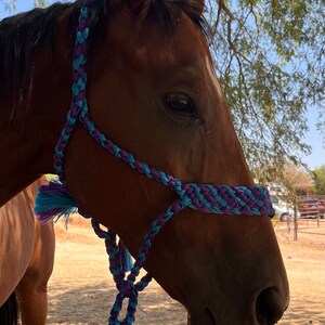 Mule Tape Halter