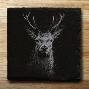 Deer Slate Coaster | Engraved Slate Coasters | Housewarming, Birthday, Home Decor, Gift for Animal Lover