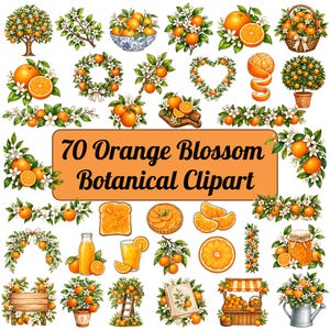 Może przedstawiać: Kolekcja 70 botanicznych ilustracji clipart z kwiatami pomarańczy, obejmująca drzewa pomarańczowe, kosze z owocami, wieńce, kształty serc, plastry pomarańczy, sok, dżem oraz kompozycje kwiatowe z białymi kwiatami i zielonymi liśćmi na białym tle.