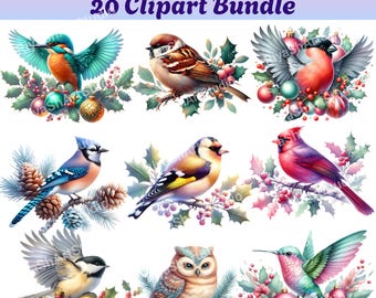 Watercolor Winter Birds Clipart Bundle - 20 Christmas PNGs (Digital Download)