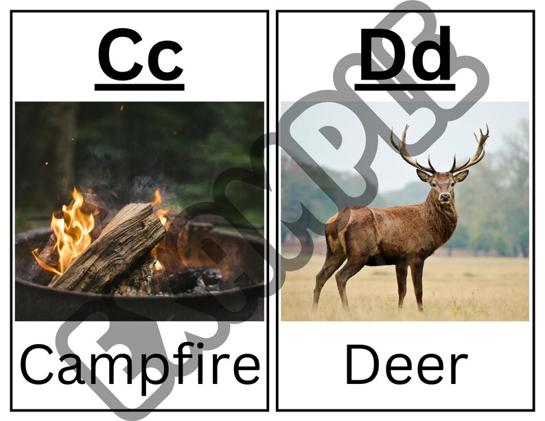 Camping Alphabet and Word Cards Etsy