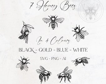 SVG botanische Honigbiene Bundle PNG, handgezeichnete Illustrative Clipart, Set von 7 Bienen, Sublimation, Gold Bug, herunterladbar, Logo, Briefpapier.