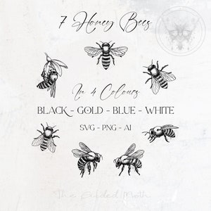 SVG Botanical Honey Bee Bundle PNG, clipart ilustrativo desenhado à mão, conjunto de 7 abelhas, sublimação, Gold Bug, para download, logotipo, papelaria.