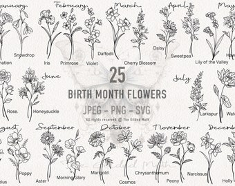 Birth Month Flowers SVG Bundle, Floral Design (Digital Files)