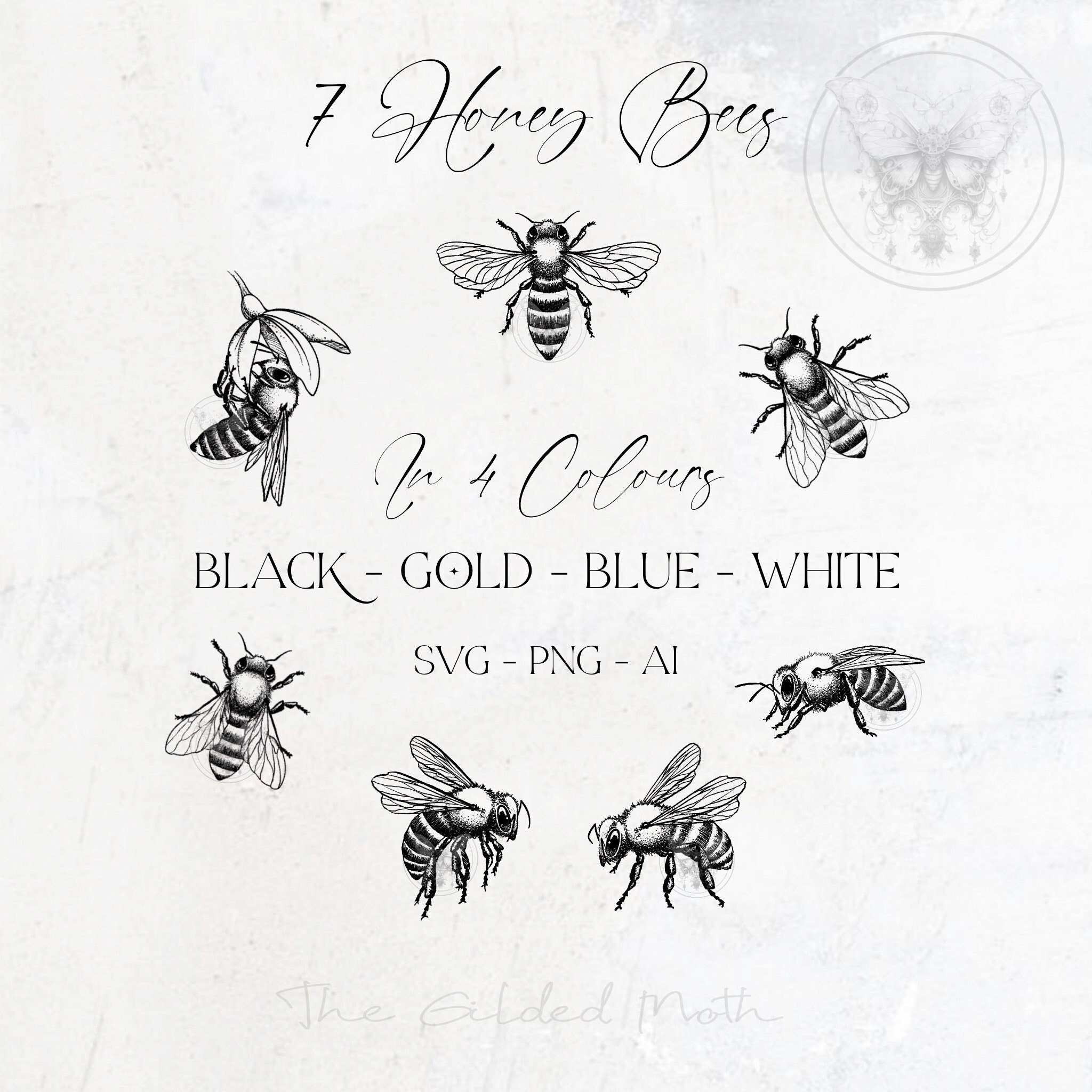 Botanical Honey Bee Clipart: Hand-drawn Illustration (SVG, PNG) - Etsy, image size:2048x2048