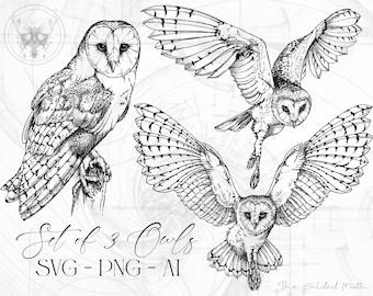 May include: A set of three black and white line drawings of owls. The owls are in different poses, one is perched on a branch, one is flying with its wings spread, and one is flying with its wings folded. The text "Set of 3 Owls SVG - PNG - AI" is at the bottom of the image.