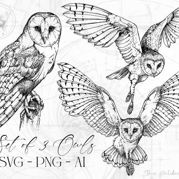 SVG Set of 3 Owl Sketch Bundle PNG, Hand drawn Owls, Microrealism Tattoo Elements, Illustrative clipart, Barn Owls sublimation, Adobe Files