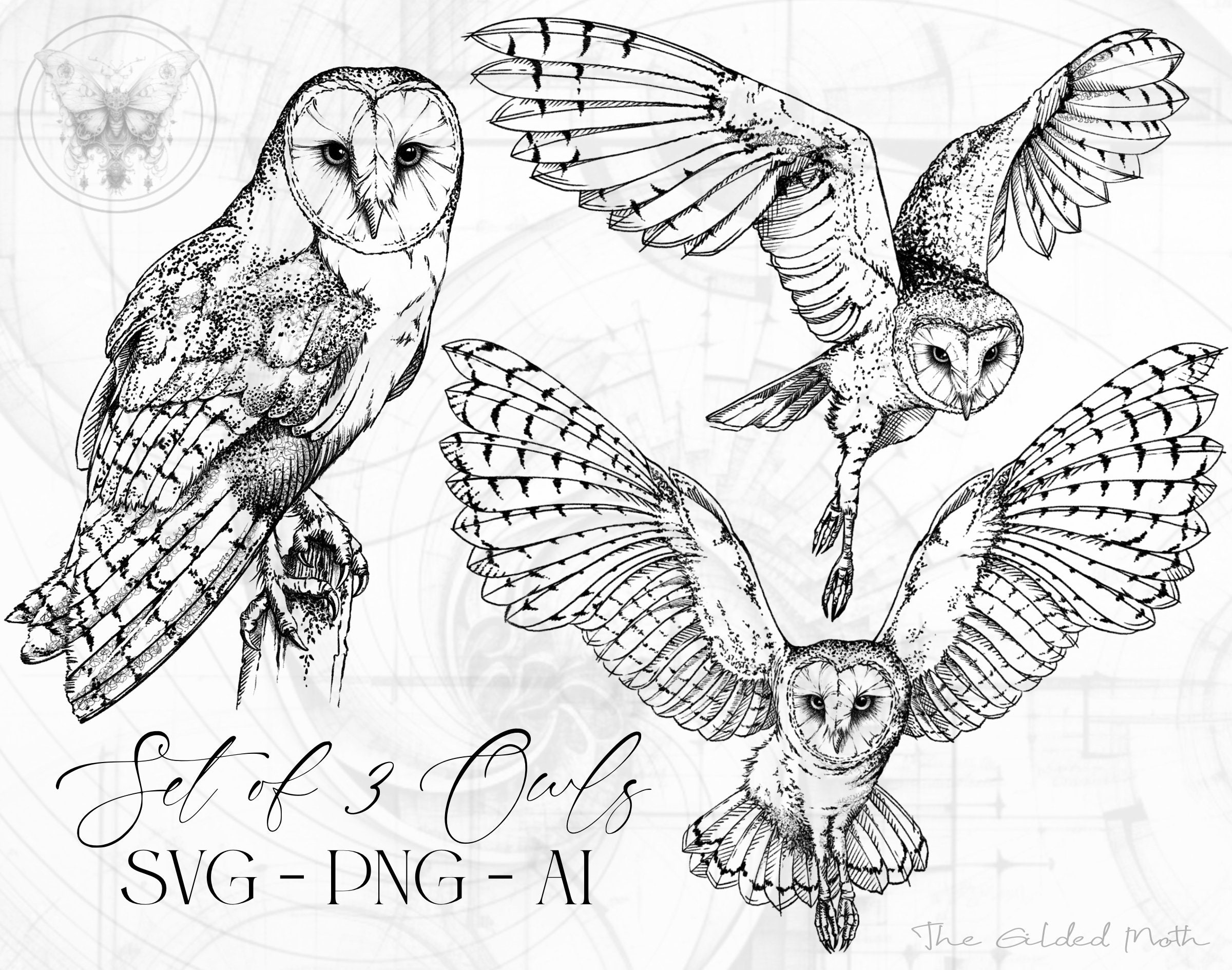 SVG Set of 3 Owl Sketch Bundle PNG, Hand drawn Owls, Microrealism Tattoo Elements, Illustrative clip