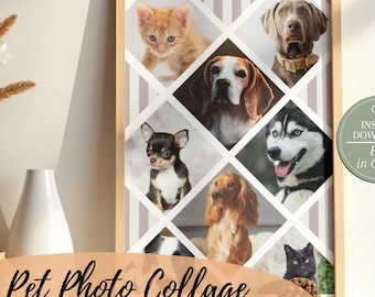 Pet Photo Collage Template, Editable Canva Wall Art, Custom Animal Picture Display, Printable Fur Baby Memory Board, Digital Download Decor