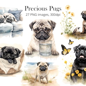 Pug Clipart: High-Resolution PNG Files for Commercial Use (Digital Download)