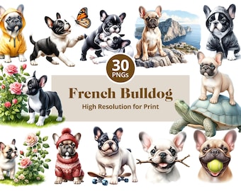 French Bulldog Clipart Bundle – 30 PNG Digital Download for Sublimation, Stickers, Tumblers & Crafts