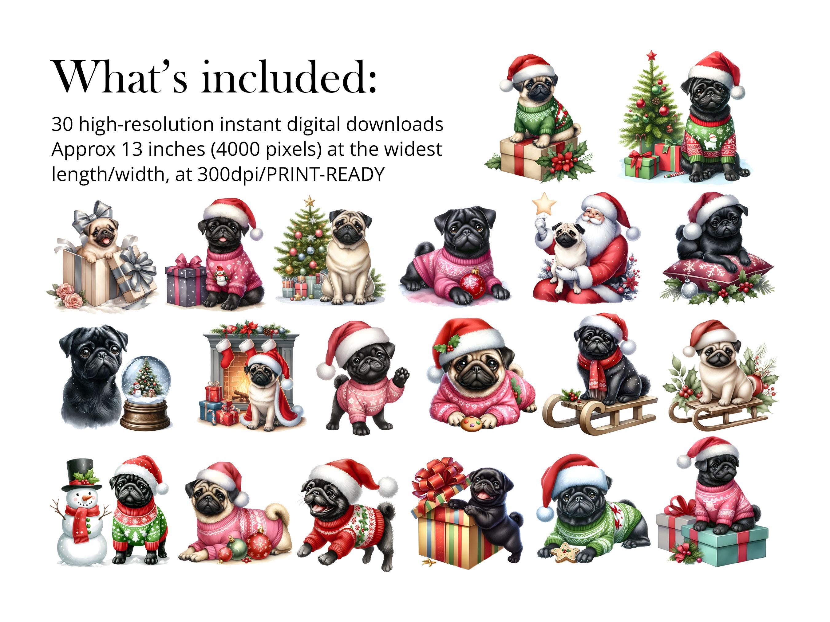 Pug Christmas Dog Clipart Bundle – 30 PNG Realistic Dog Illustrations ...