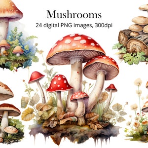 Pilz Clipart Bundle, Aquarell Illustrationen, PNG Datei, Scrapbook Kit, Papier Handwerk, Aquarell Illustrationen, Kommerzielle Nutzung