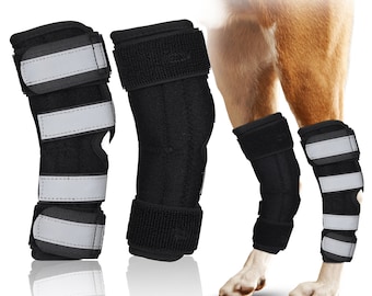 NUTUCH Dog Rear Leg Brace | Dual Metal Strips and Safety Reflective Straps | Hock Brace for Back Legs | Joint Compression Wrap for Recovery