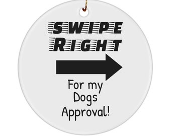 Funny Newly Single Gifts For Men or Woman, All Because 2 People Swiped Right, Newly Single Sash, Housewarming Gifts For Women After Divorce,