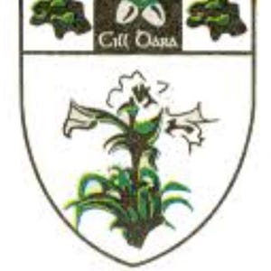 Kildare GAA Cast Iron Sign