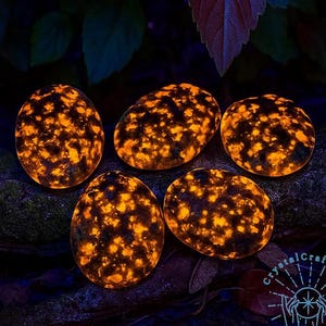 Esemplare unico di Yooperlite reattiva ai raggi UV da 2,4" / Cristallo fluorescente luminescente di Emberlite ardente / Campione minerale di Yooperlite naturale con custodia regalo