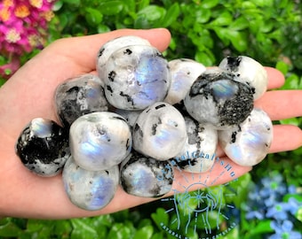 Raw Rainbow Moonstone Stone Rough White Moonstone Tumbled Stones Natural Moonstone Crystal Gemstones Grounding Stone 1 - 2" Raw Stones Gift